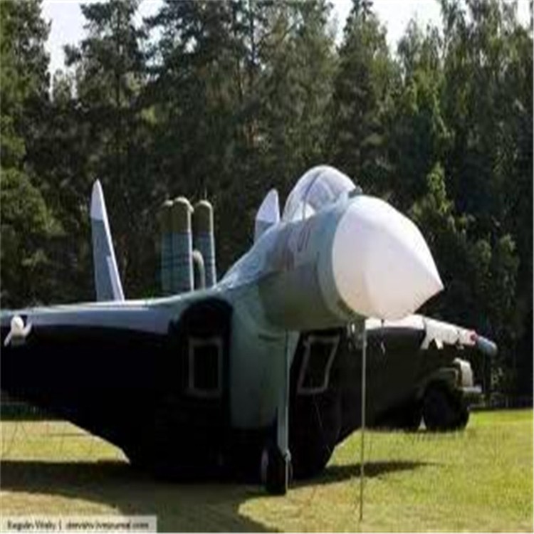 珠海充气模型飞机制造商家